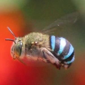 Meet your Posher, Steve